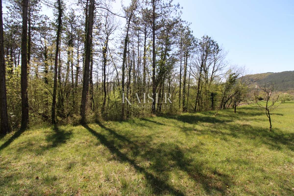Istra - Buzet, hiša z zemljiščem na 20000 m2