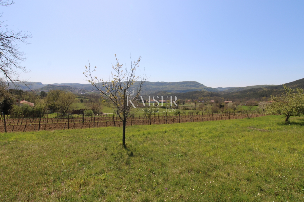 Istra - Buzet, hiša z zemljiščem na 20000 m2