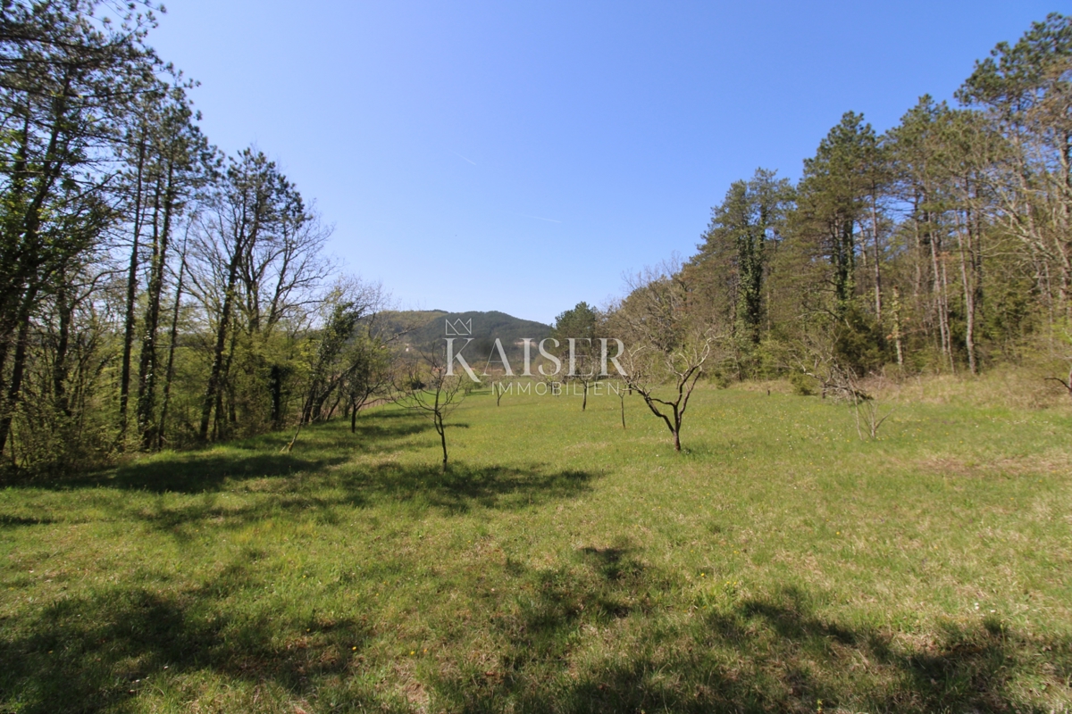 Istra - Buzet, hiša z zemljiščem na 20000 m2