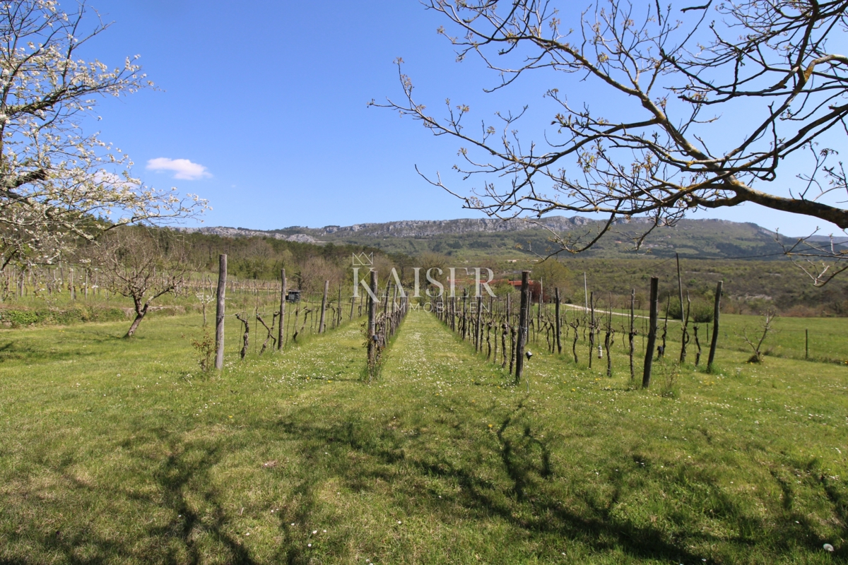 Istra - Buzet, hiša z zemljiščem na 20000 m2