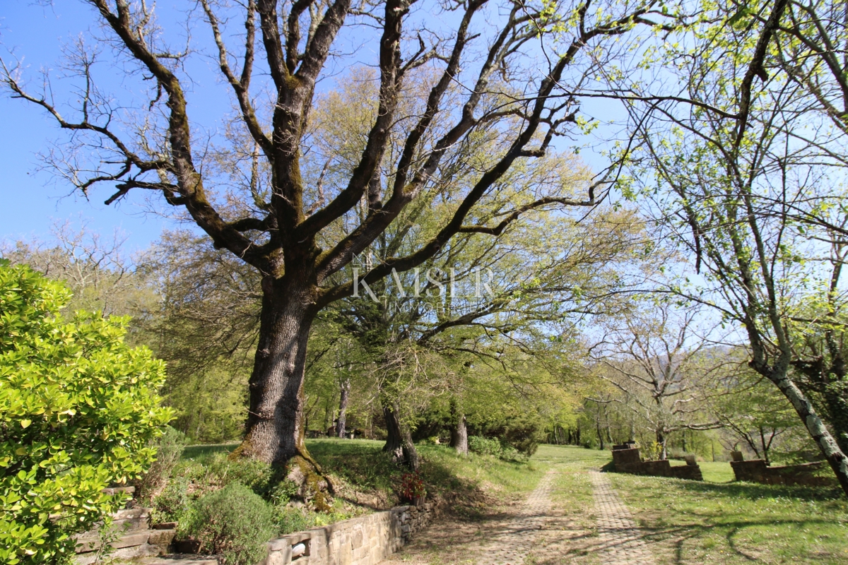 Istra - Buzet, hiša z zemljiščem na 20000 m2