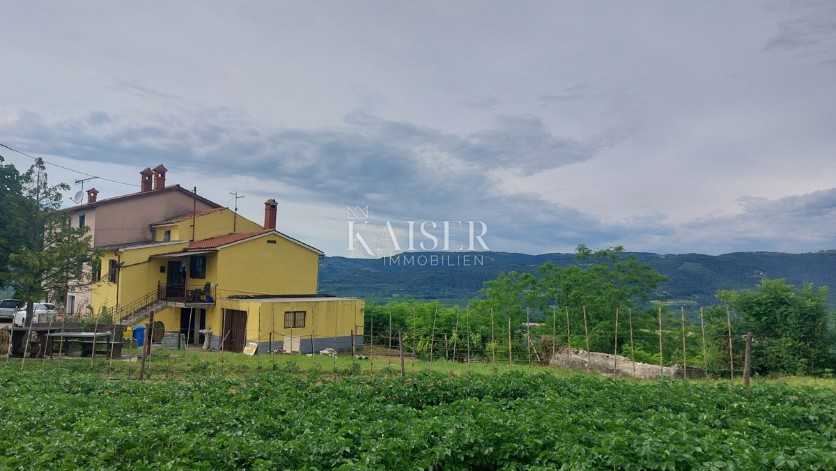 Istra, Motovun - hiša za prenovo z vrtom, 150m2, pogled na Motovun