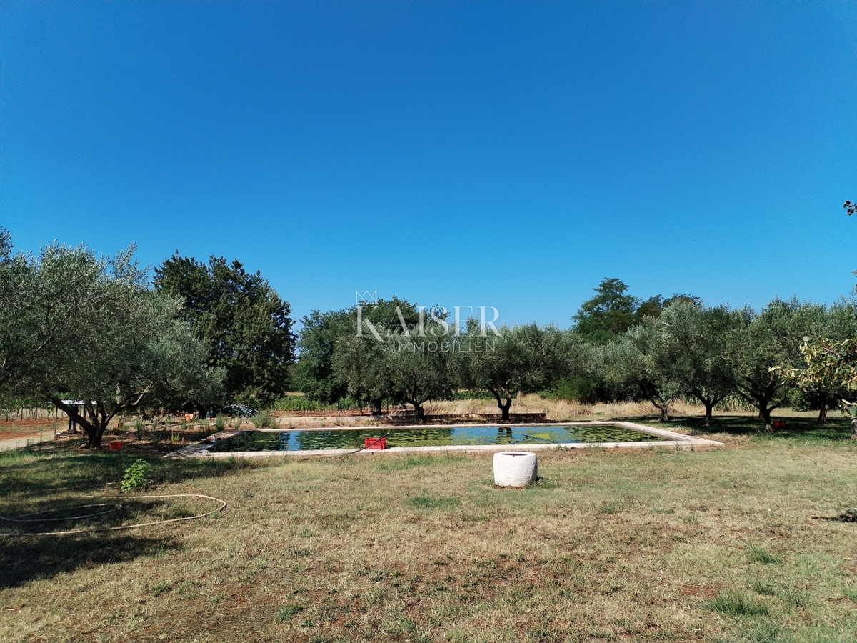 Hiša Umag, 420m2