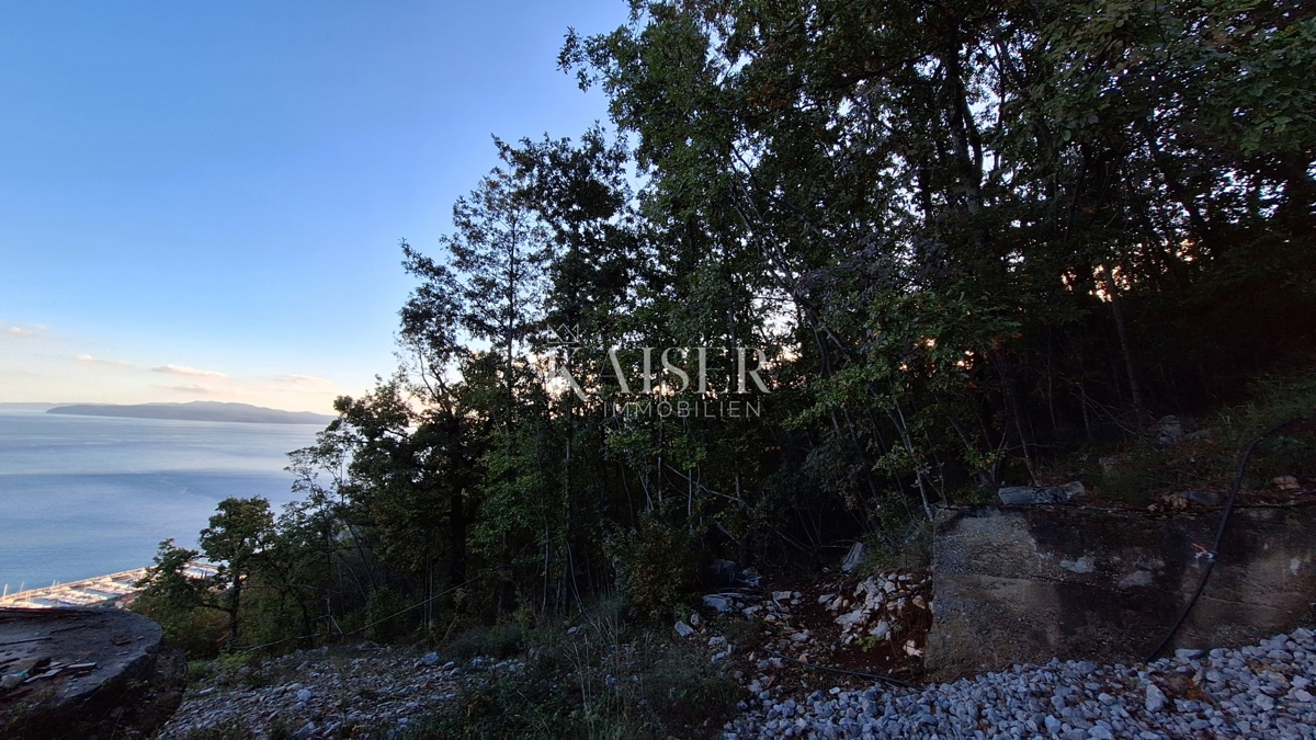 Kmetijsko zemljišče Veprinac, Opatija - Okolica, 12.685m2