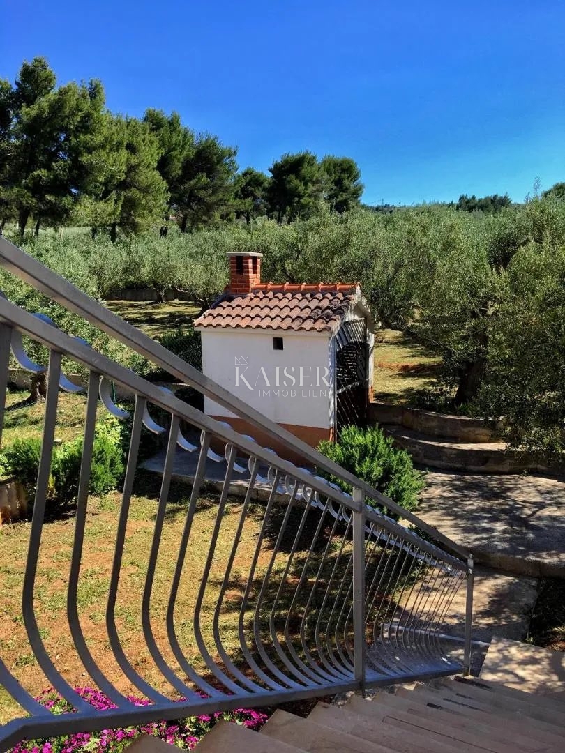 Otok Brač - Čudovita kamnita hiša s petimi apartmaji, oljčnim nasadom in panoramskim pogledom na morje