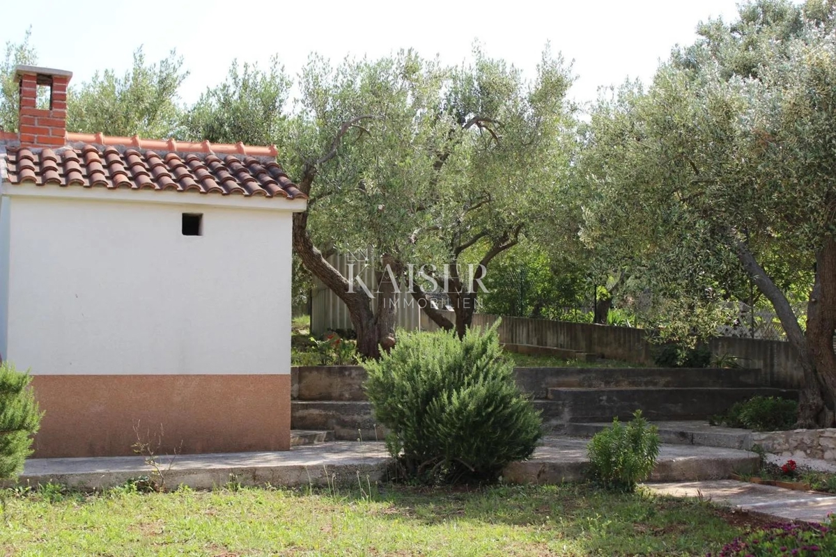 Otok Brač - Čudovita kamnita hiša s petimi apartmaji, oljčnim nasadom in panoramskim pogledom na morje