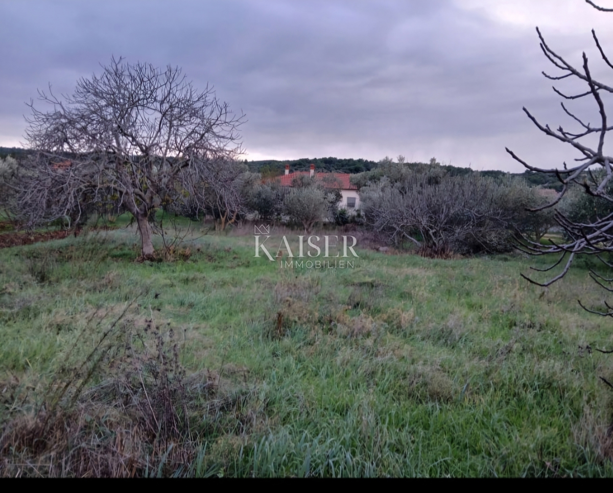 Otok Pašman - Gradbeno zemljišče 1. vrsta do morja