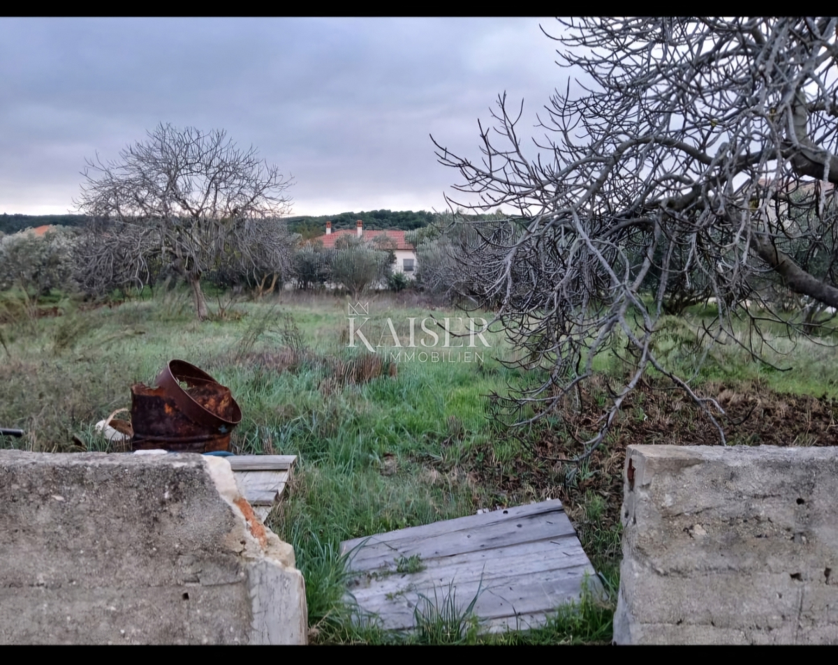 Otok Pašman - Gradbeno zemljišče 1. vrsta do morja