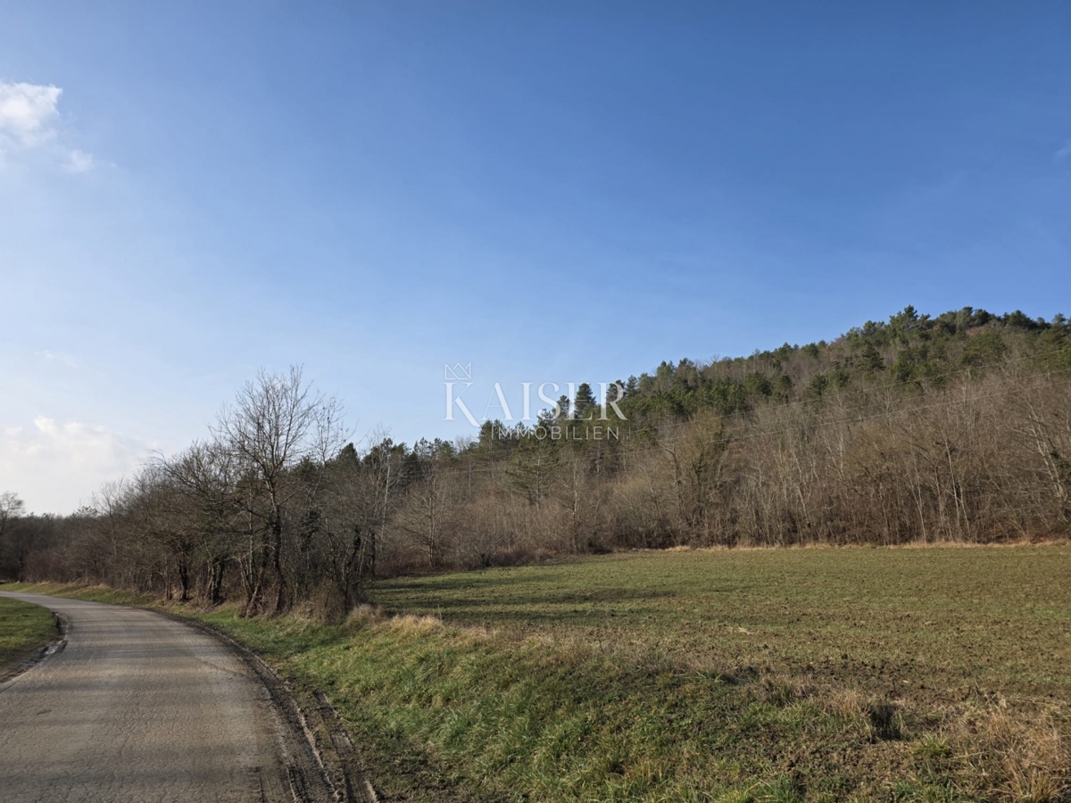 Istra, Motovun - zazidljivo zemljišče 37000m2