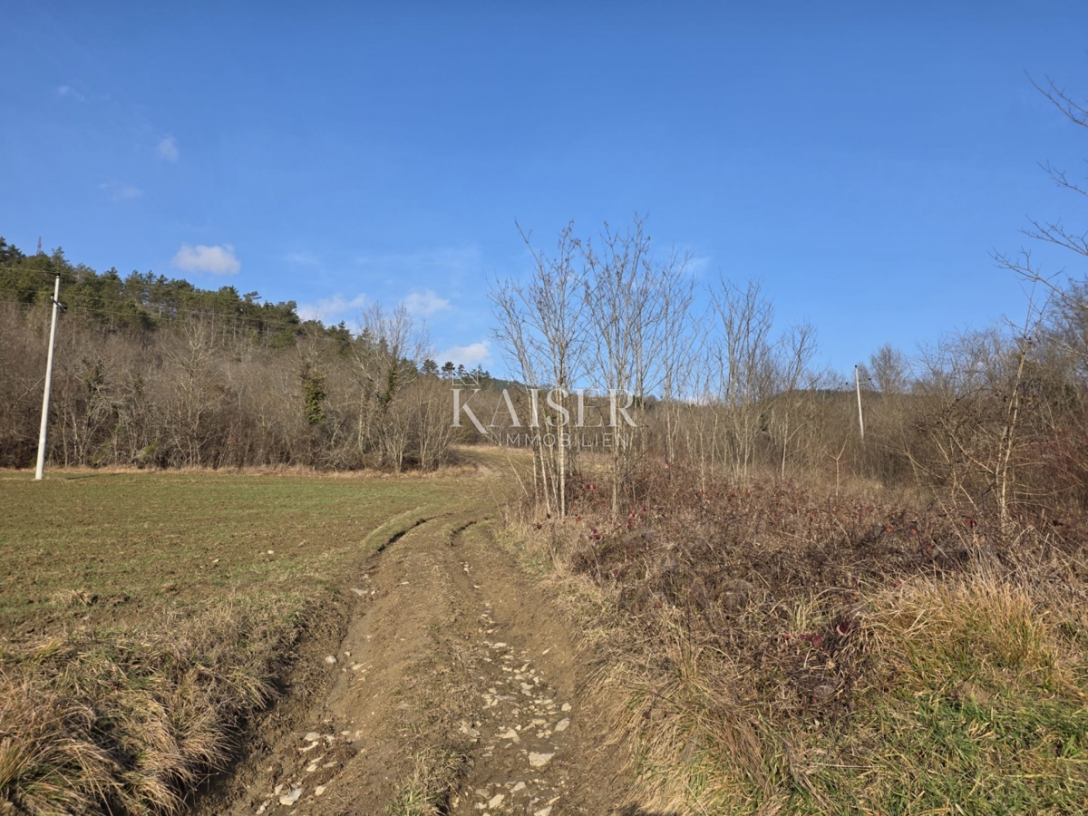 Istra, Motovun - zazidljivo zemljišče 37000m2