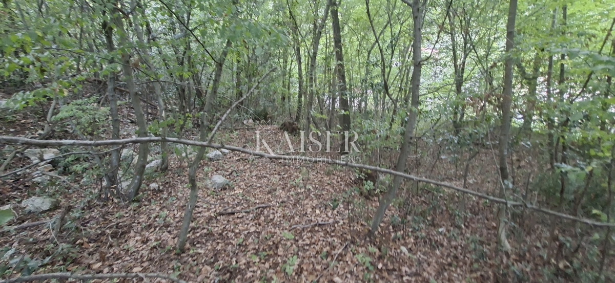 Mošćenička Draga, 815m2