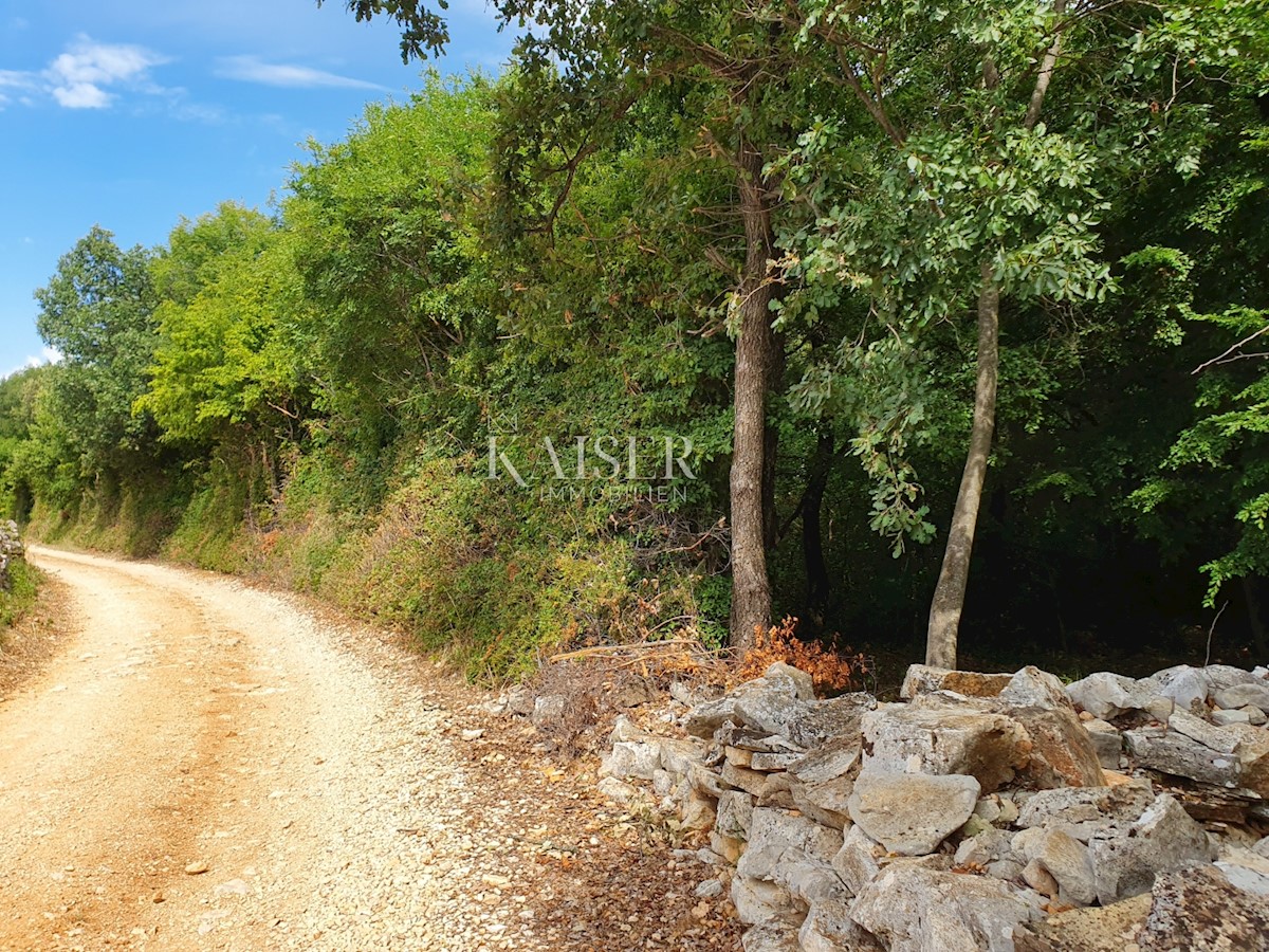 Istra - Poreč, kmetijsko zemljišče v turistični gradbeni coni