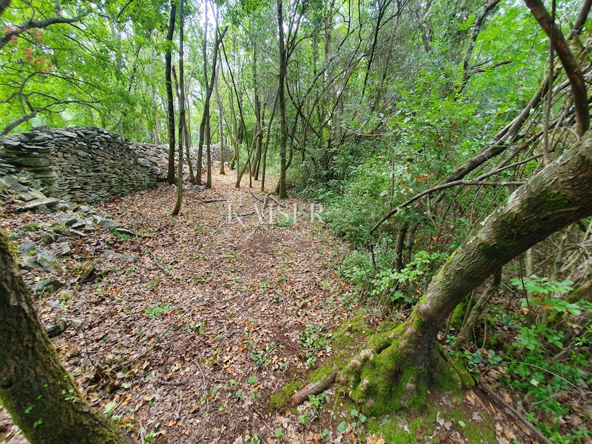 Istra - Poreč, kmetijsko zemljišče v turistični gradbeni coni