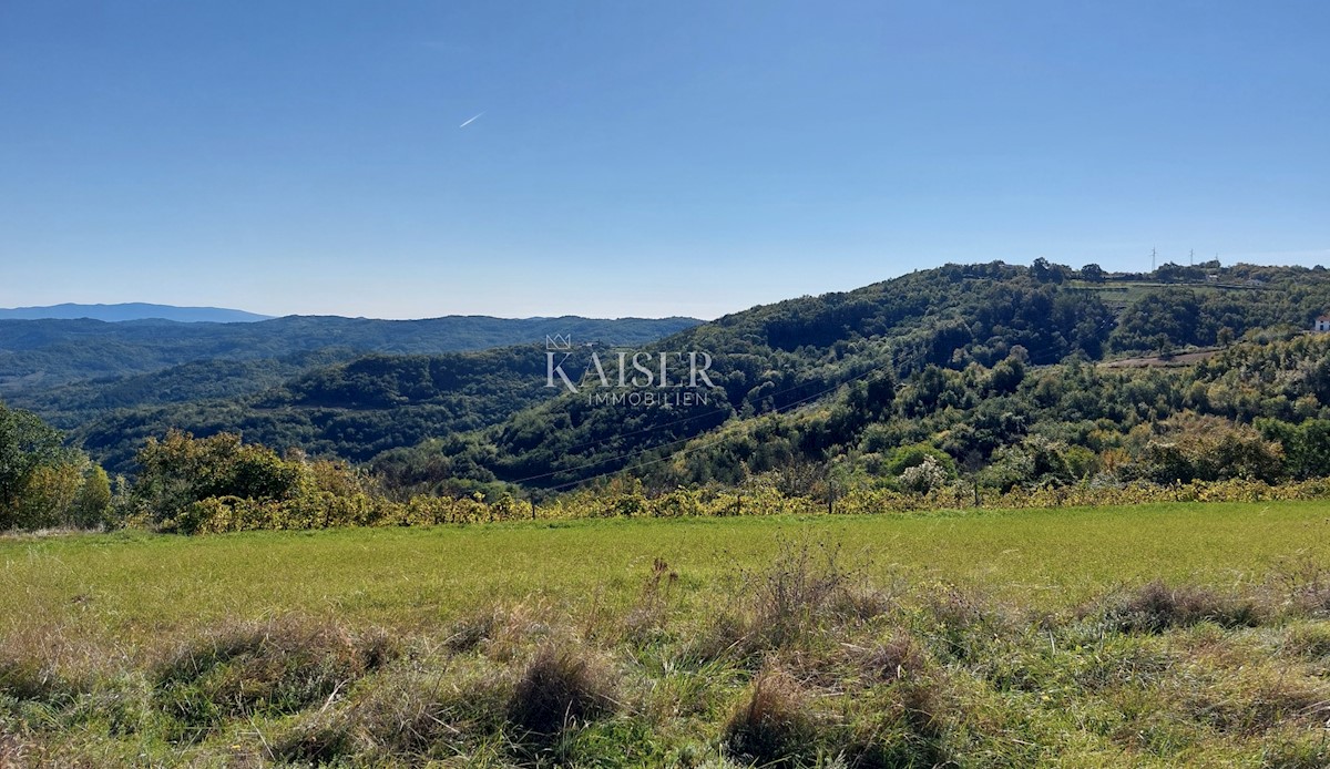 Istra, okolica Motovuna, zazidljiva parcela z dovoljenjem za hišo