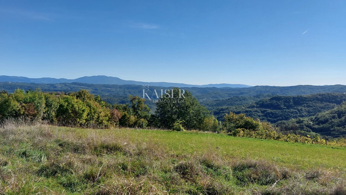 Istra, okolica Motovuna, zazidljiva parcela z dovoljenjem za hišo