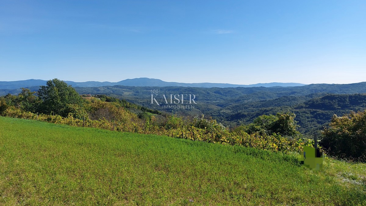 Istra, okolica Motovuna, zazidljiva parcela z dovoljenjem za hišo