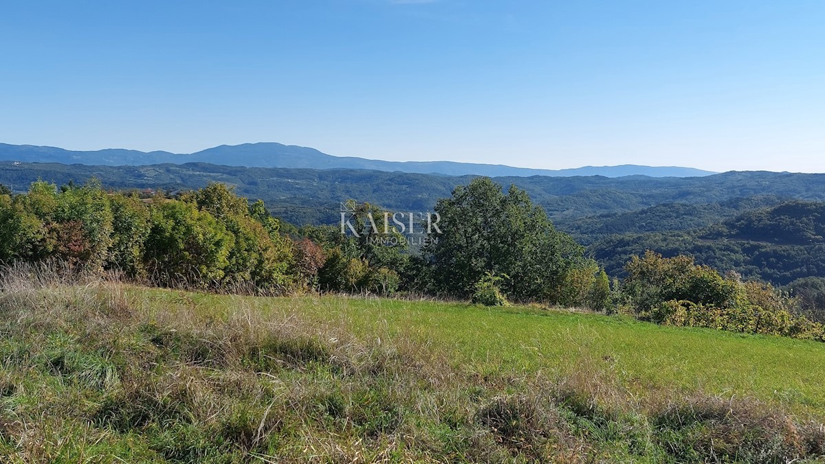 Istra, okolica Motovuna, zazidljiva parcela z dovoljenjem za hišo