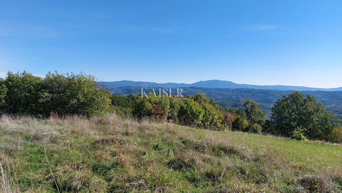 Istra, okolica Motovuna, zazidljiva parcela z dovoljenjem za hišo