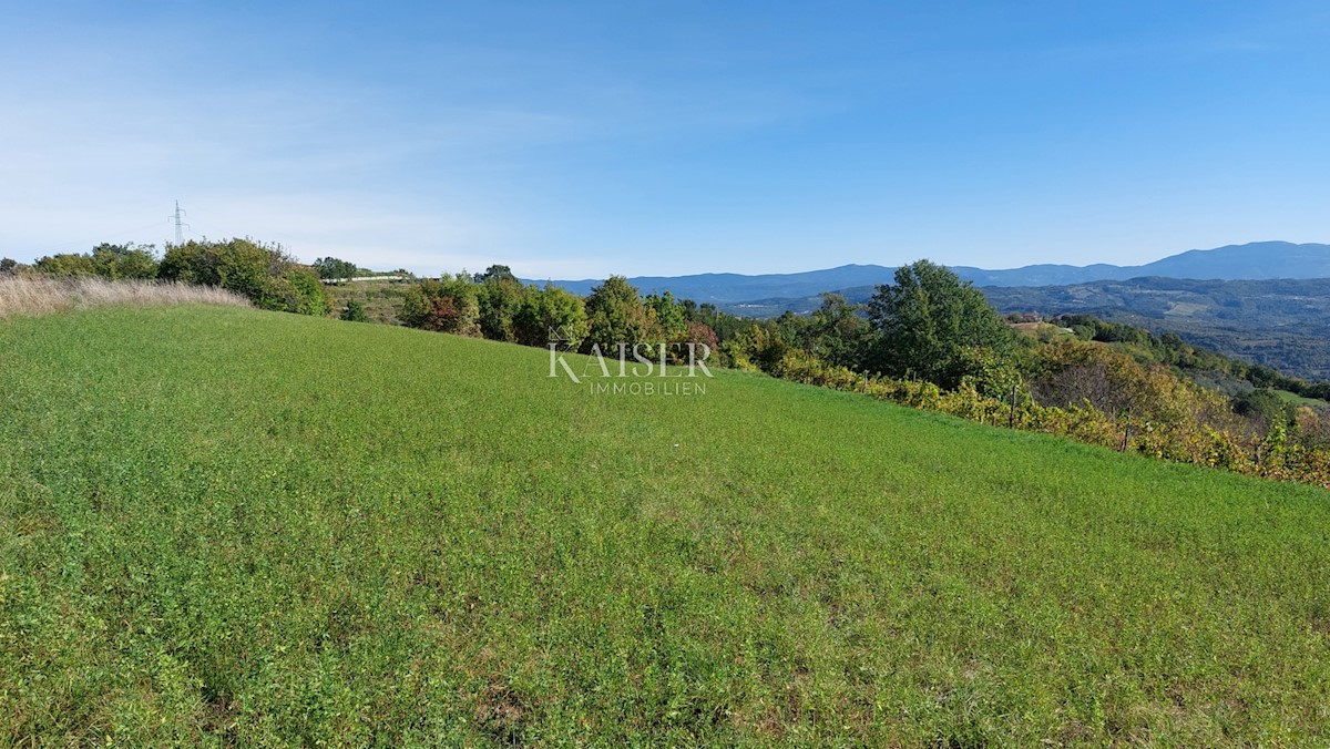 Istra, okolica Motovuna, zazidljiva parcela z dovoljenjem za hišo