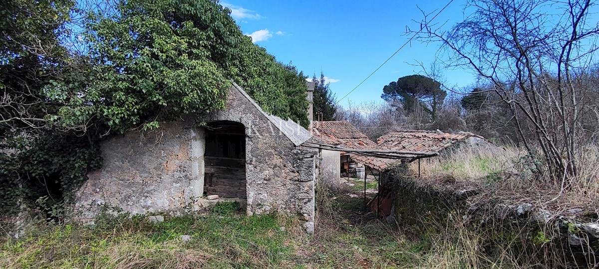 Mošćenička Draga - posest, 8.000 m2