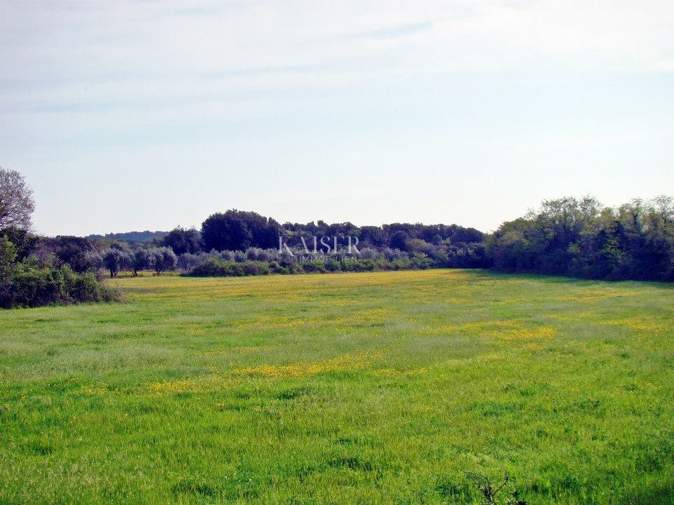 Ližnjan - atraktivno zemljišče