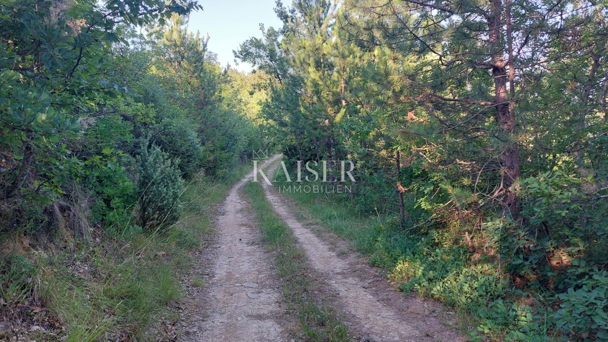 Istra, območje Buzeta - kmetijsko zemljišče 2,4 ha, možnost gradnje