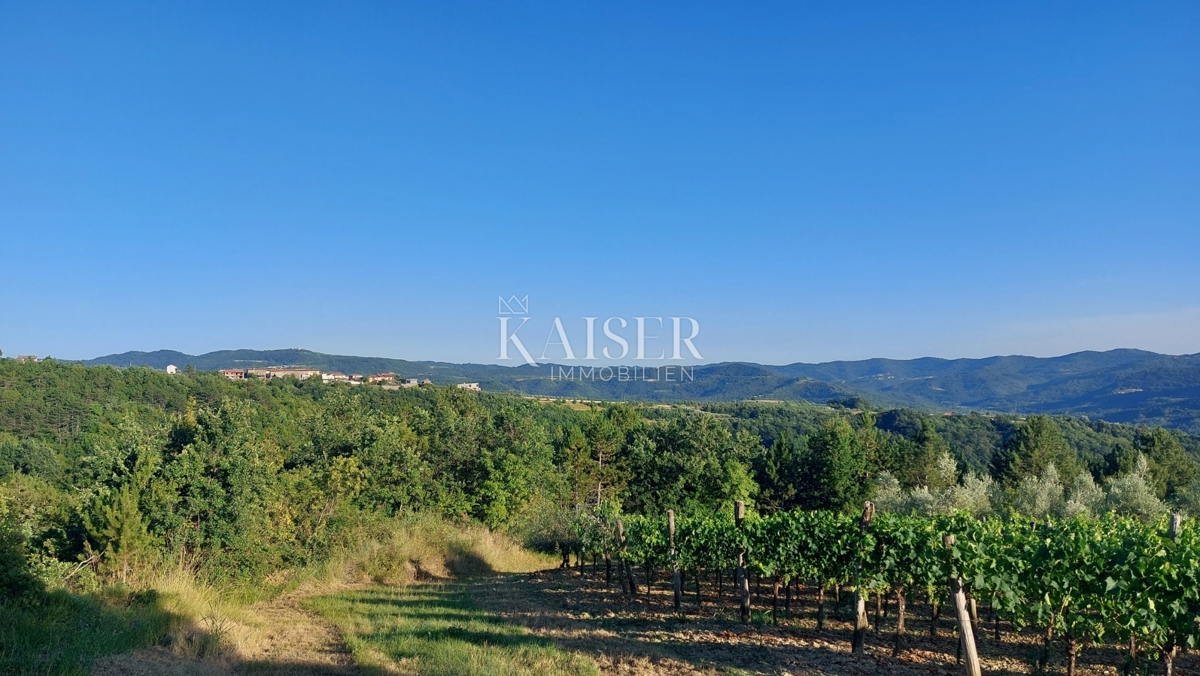 Istra, območje Buzeta - kmetijsko zemljišče 2,4 ha, možnost gradnje