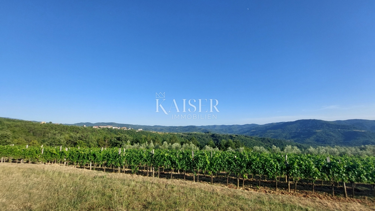 Istra, območje Buzeta - kmetijsko zemljišče 2,4 ha, možnost gradnje