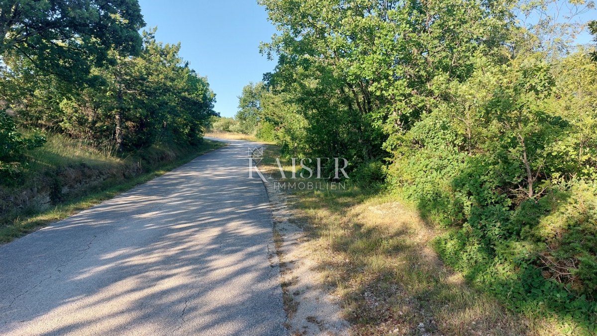Istra, območje Buzeta - kmetijsko zemljišče 2,4 ha, možnost gradnje