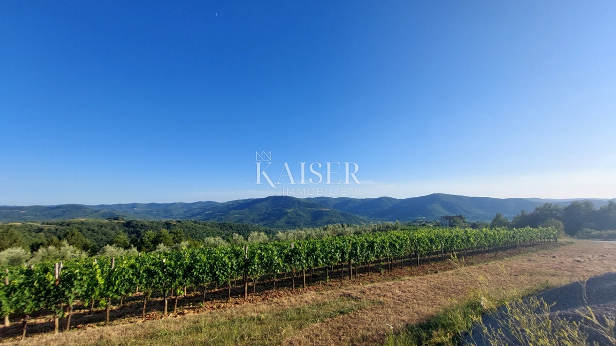 Istra, območje Buzeta - kmetijsko zemljišče 2,4 ha, možnost gradnje