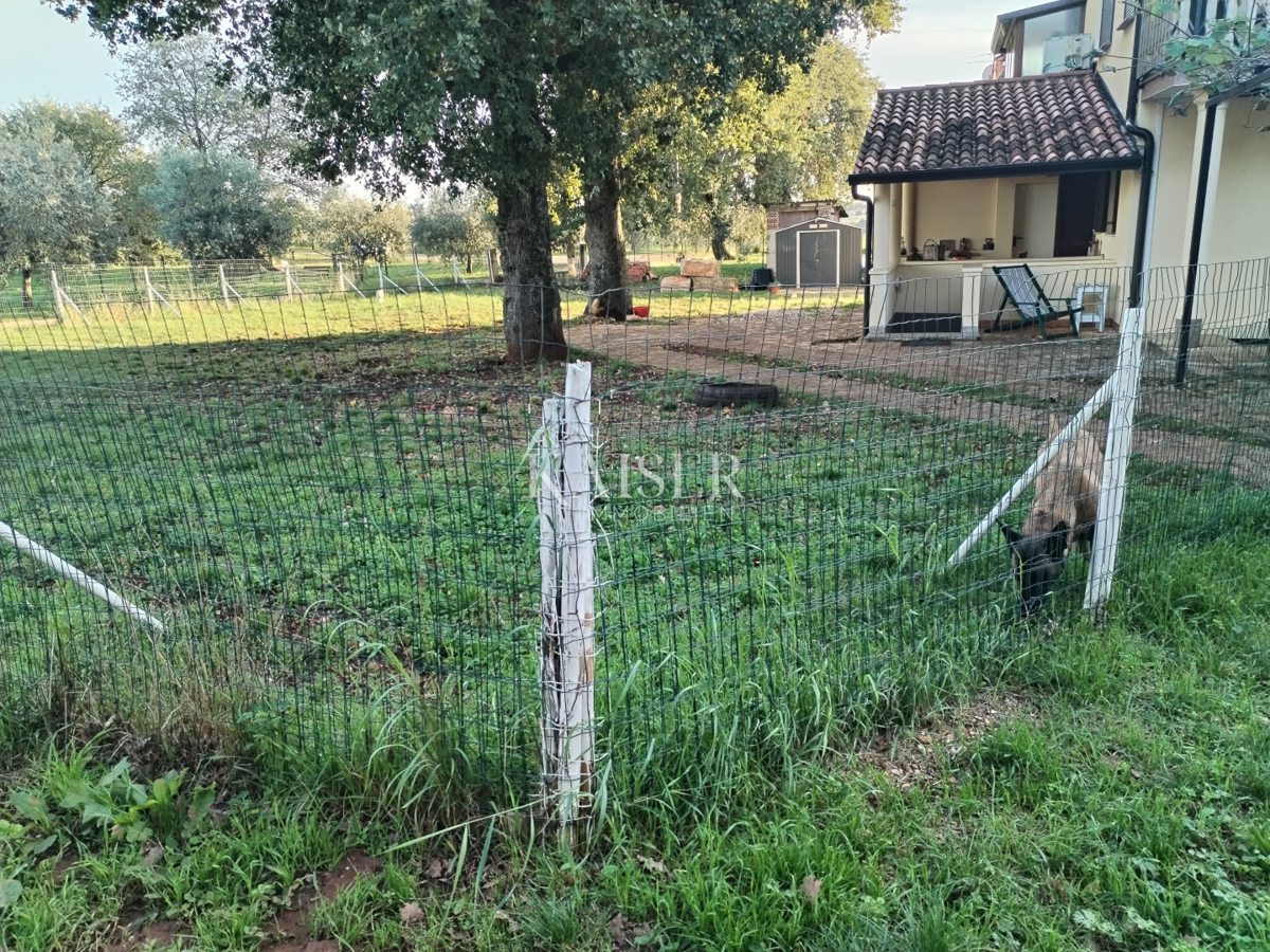 Istra, Novigrad, prodaja 2 apartmaja, vsak po 64 m2