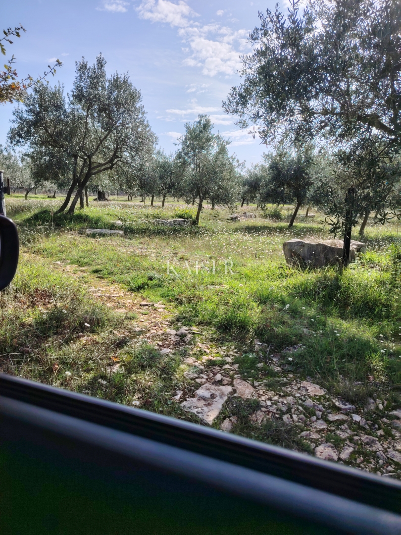 Kmetijsko zemljišče Vodnjan, 2.126m2