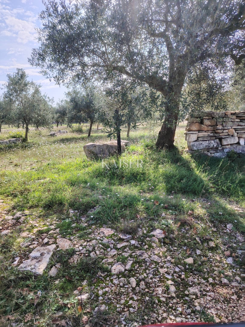 Kmetijsko zemljišče Vodnjan, 2.126m2