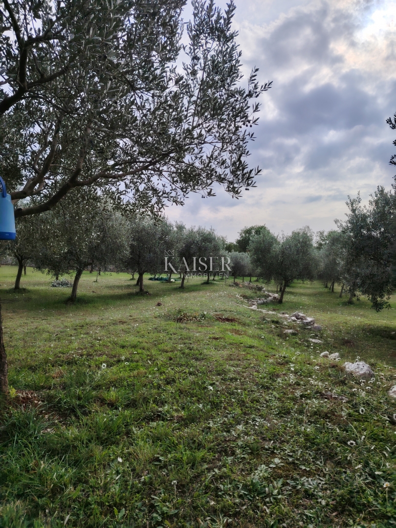 Kmetijsko zemljišče Vodnjan, 2.126m2