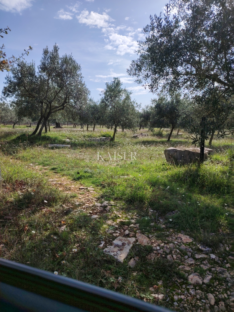 Kmetijsko zemljišče Vodnjan, 2.126m2