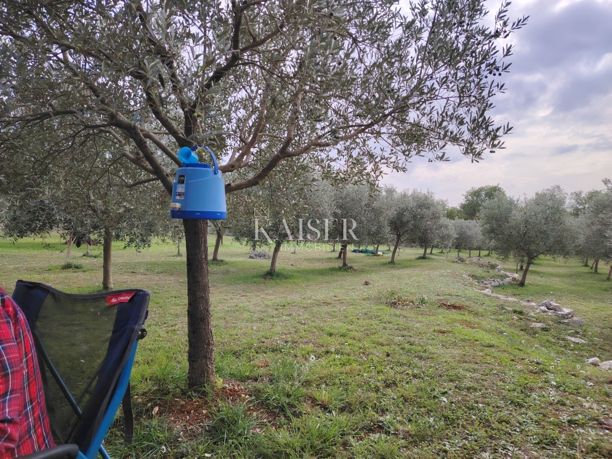 Kmetijsko zemljišče Vodnjan, 2.126m2