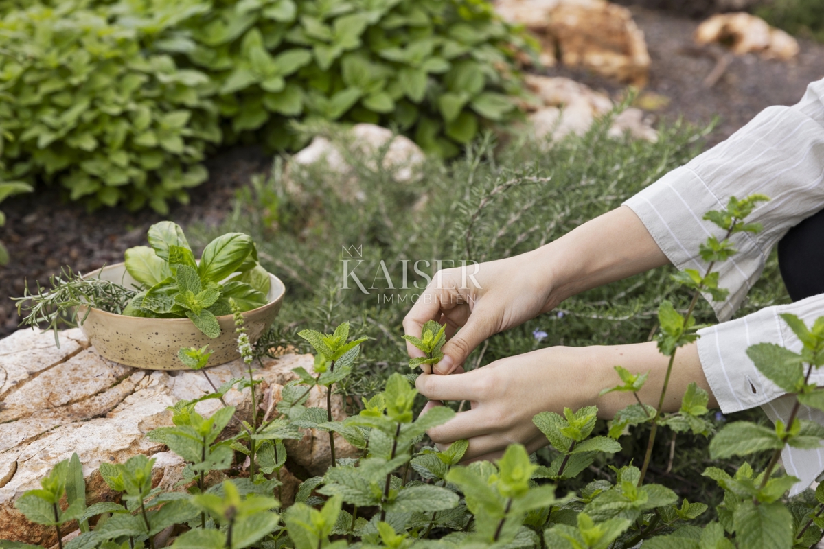 Istra - Poreč, luksuzna vila s pogledom na morje, bazenom in savno
