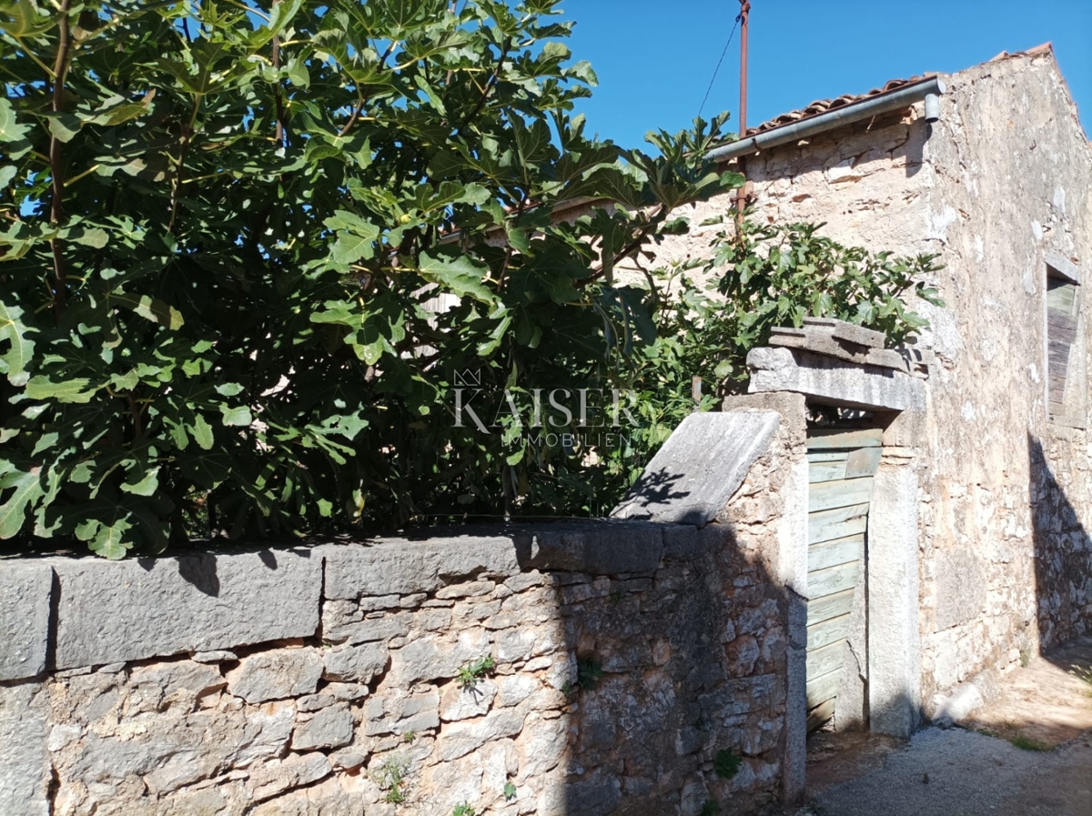 Istra - Višnjan, dve starinski hiši z vrtom