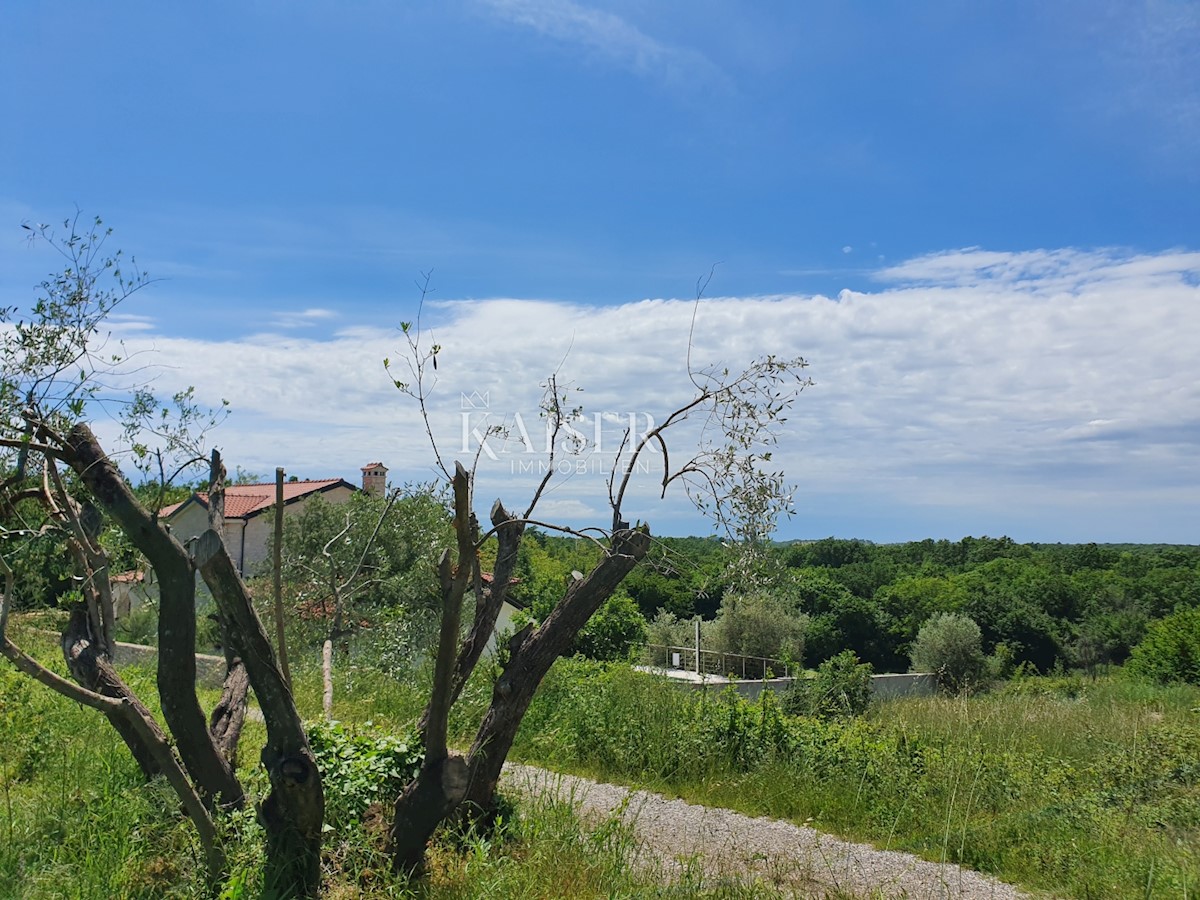  Zazidljivo zemljišče Sveti Lovreč, 1.006m2