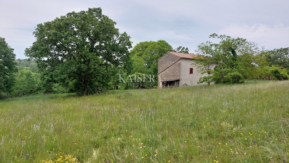  Posestva Vižinada, 90.000m2