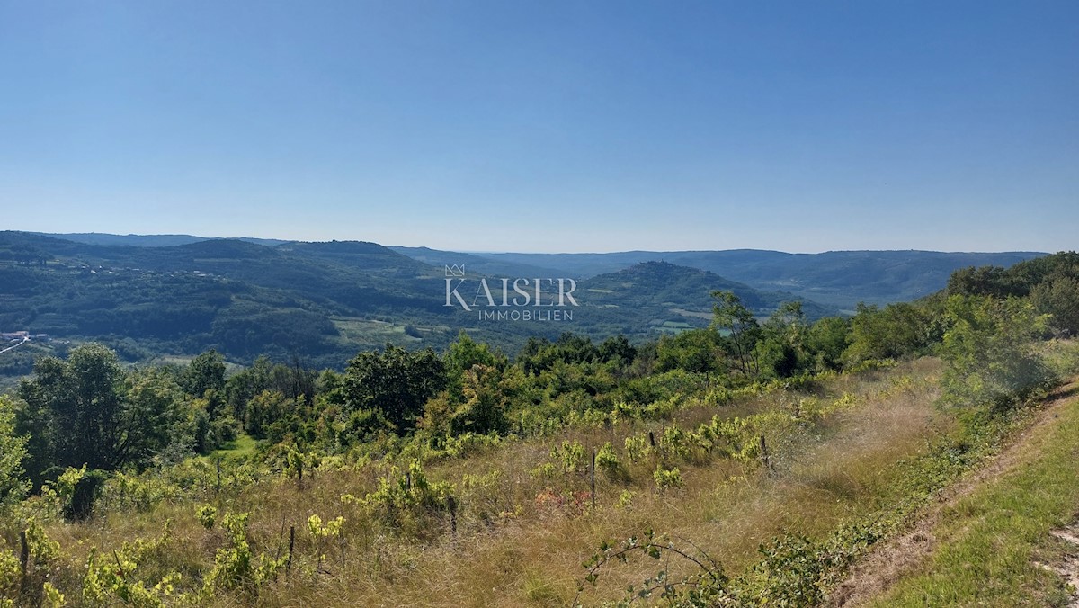 Istra, Motovun - zemljišče s čudovitim panoramskim razgledom