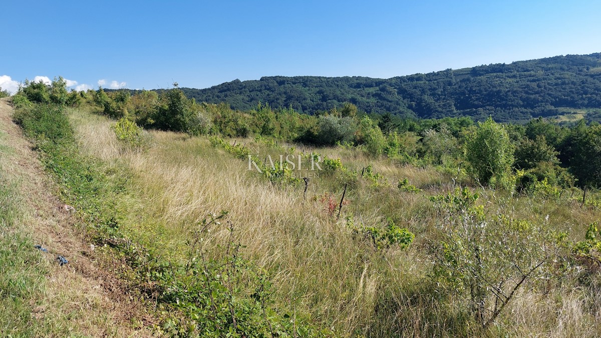 Istra, Motovun - zemljišče s čudovitim panoramskim razgledom