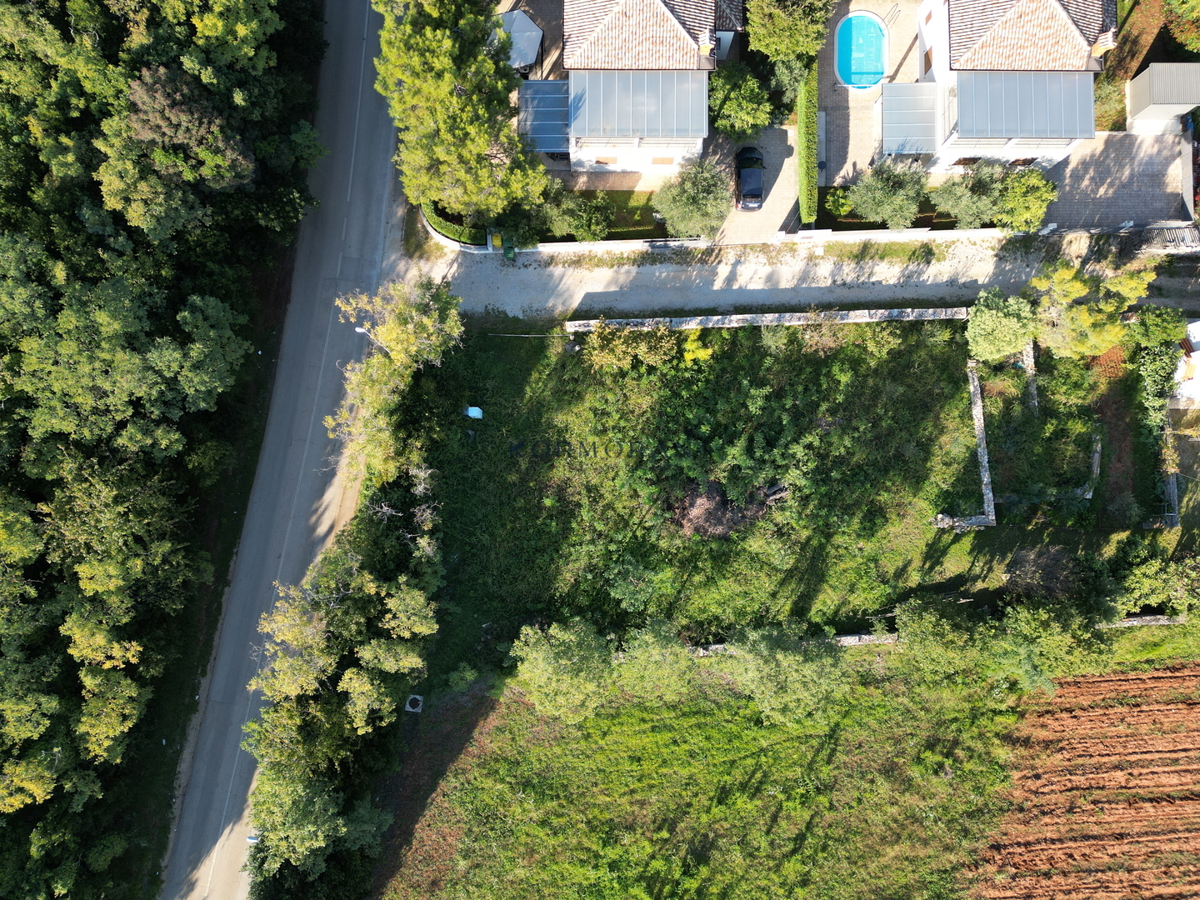 zemljišče - bassania