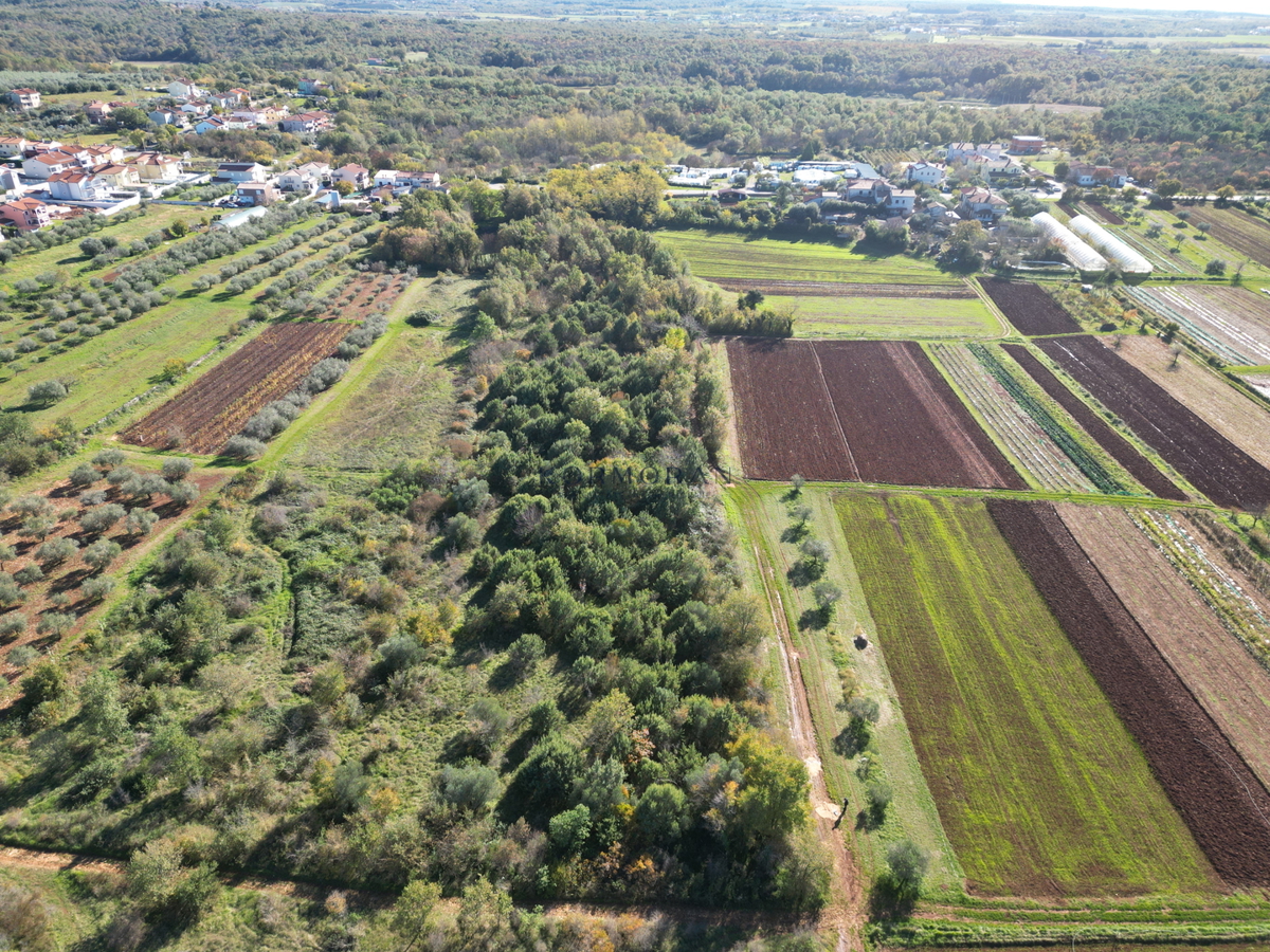 Kmetijsko zemljišče