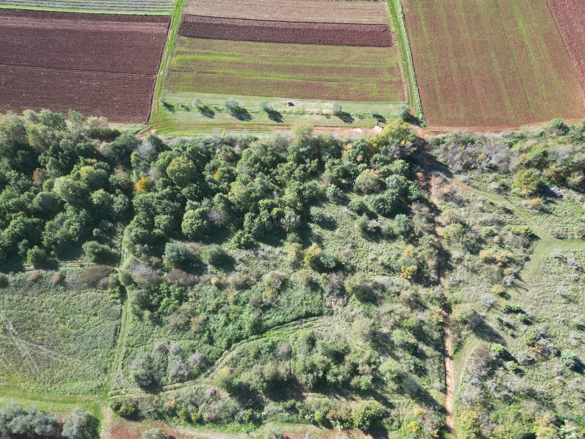 Kmetijsko zemljišče