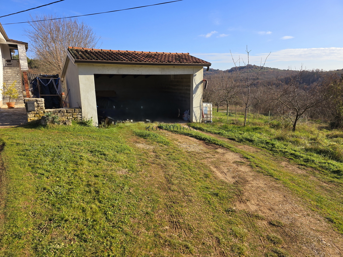 iša z velikim potencialom v bližini Buja