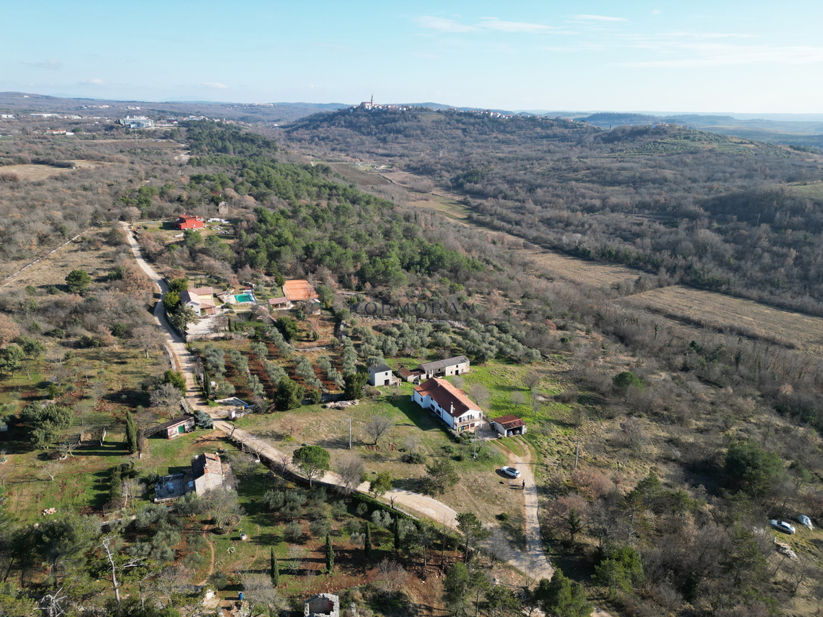 iša z velikim potencialom v bližini Buja