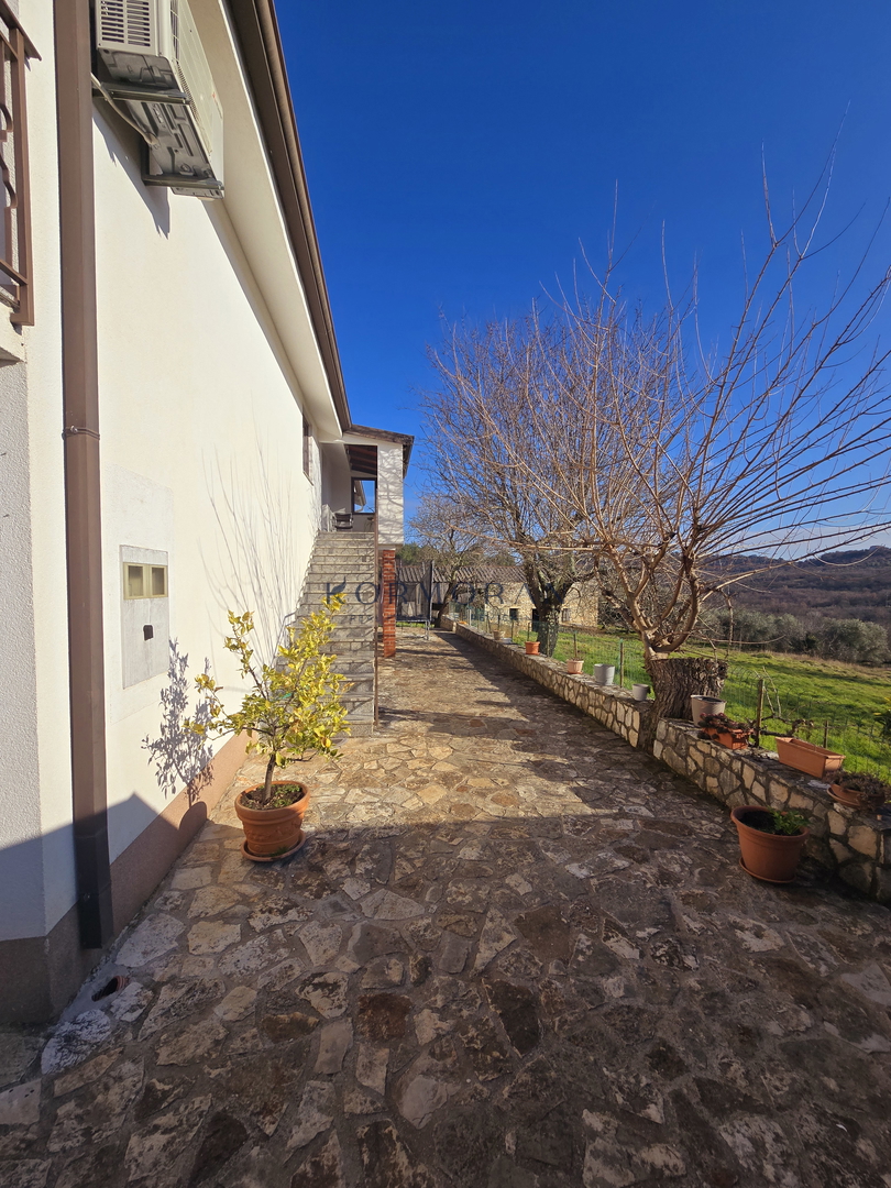 iša z velikim potencialom v bližini Buja