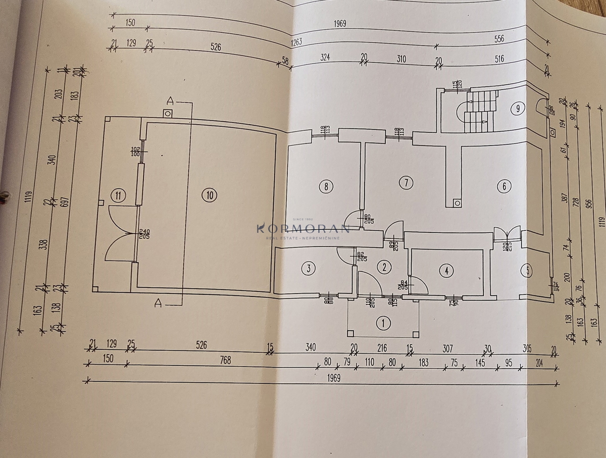 iša z velikim potencialom v bližini Buja