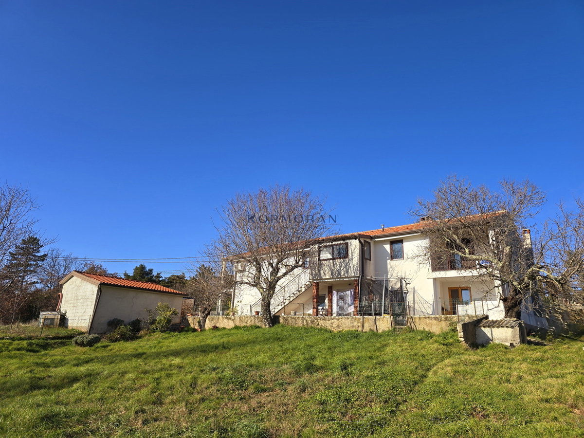 iša z velikim potencialom v bližini Buja